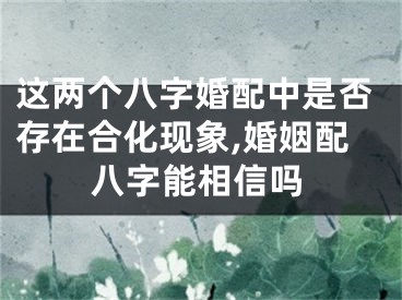 这两个八字婚配中是否存在合化现象,婚姻配八字能相信吗