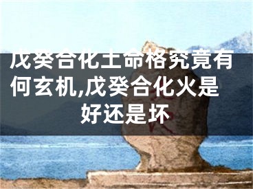 戊癸合化土命格究竟有何玄机,戊癸合化火是好还是坏