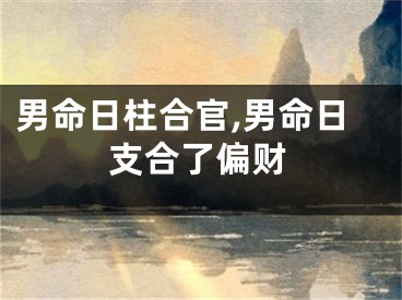 男命日柱合官,男命日支合了偏财