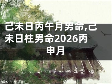己未日丙午月男命,己未日柱男命2026丙申月