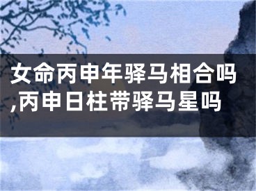 女命丙申年驿马相合吗,丙申日柱带驿马星吗
