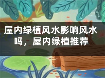 屋内绿植风水影响风水吗，屋内绿植推荐