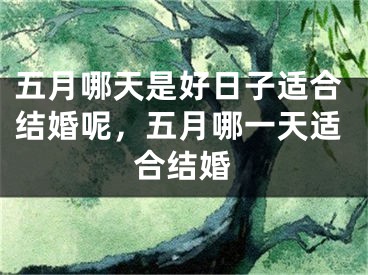 五月哪天是好日子适合结婚呢，五月哪一天适合结婚