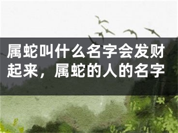 属蛇叫什么名字会发财起来,属蛇的人的名字