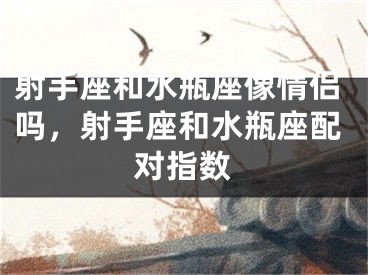 射手座和水瓶座像情侣吗，射手座和水瓶座配对指数