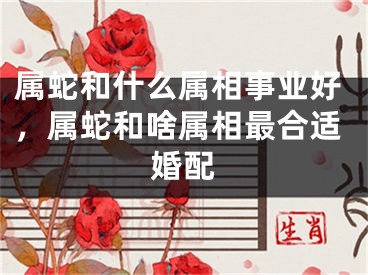 属蛇和什么属相事业好，属蛇和啥属相最合适婚配