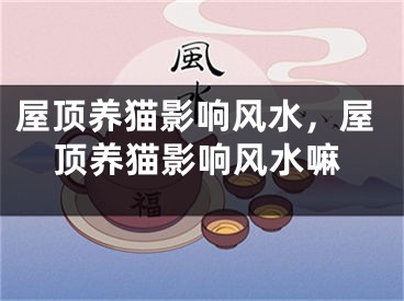 屋顶养猫影响风水，屋顶养猫影响风水嘛