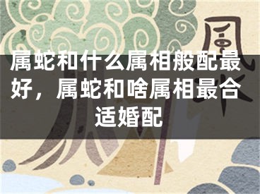 属蛇和什么属相般配最好,属蛇和啥属相最合适婚配
