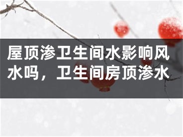 屋顶渗卫生间水影响风水吗,卫生间房顶渗水