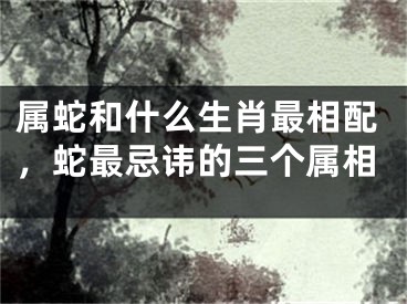 属蛇和什么生肖最相配,蛇最忌讳的三个属相