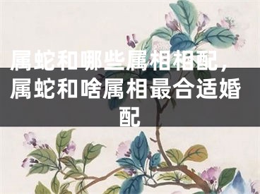 属蛇和哪些属相相配，属蛇和啥属相最合适婚配