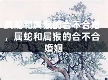 属蛇和属猴的合不合婚，属蛇和属猴的合不合婚姻