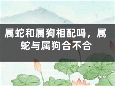 属蛇和属狗相配吗，属蛇与属狗合不合