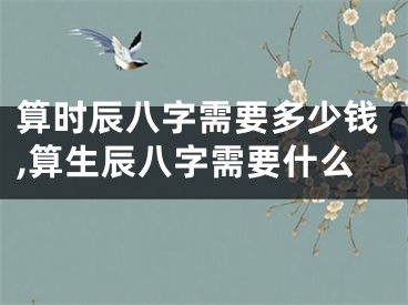 算时辰八字需要多少钱,算生辰八字需要什么