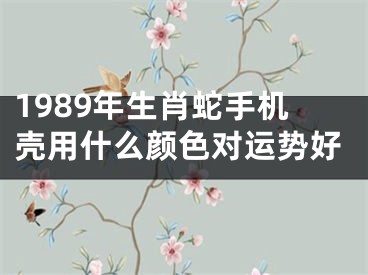 1989年生肖蛇手机壳用什么颜色对运势好