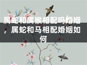 属蛇和属猴相配吗婚姻，属蛇和马相配婚姻如何