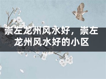 崇左龙州风水好，崇左龙州风水好的小区
