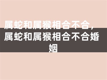 属蛇和属猴相合不合，属蛇和属猴相合不合婚姻