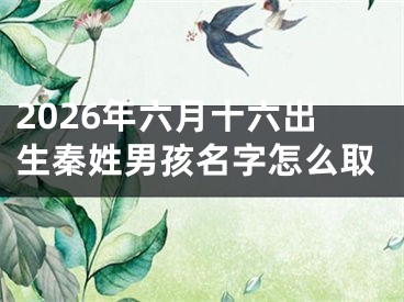 2026年六月十六出生秦姓男孩名字怎么取