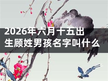 2026年六月十五出生顾姓男孩名字叫什么