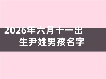 2026年六月十一出生尹姓男孩名字