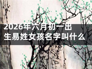 2026年六月初一出生易姓女孩名字叫什么