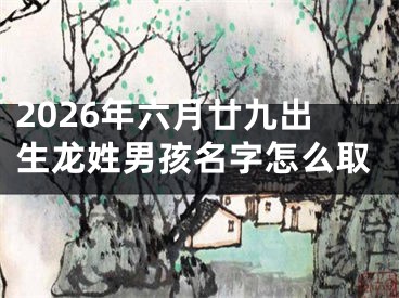 2026年六月廿九出生龙姓男孩名字怎么取