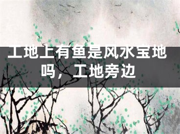 工地上有鱼是风水宝地吗，工地旁边