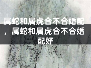 属蛇和属虎合不合婚配，属蛇和属虎合不合婚配好