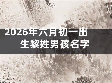 2026年六月初一出生黎姓男孩名字