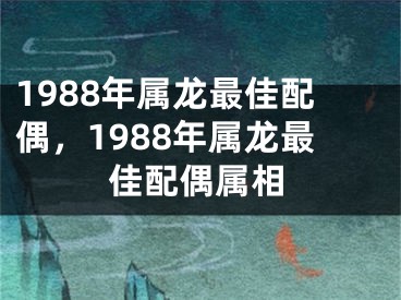 1988年属龙最佳配偶，1988年属龙最佳配偶属相