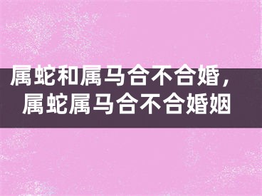 属蛇和属马合不合婚，属蛇属马合不合婚姻