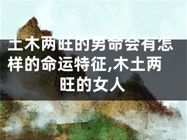 土木两旺的男命会有怎样的命运特征,木土两旺的女人