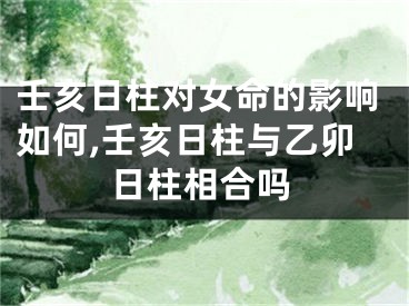壬亥日柱对女命的影响如何,壬亥日柱与乙卯日柱相合吗