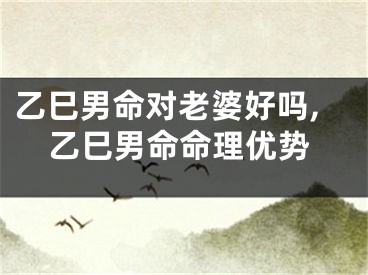 乙巳男命对老婆好吗,乙巳男命命理优势