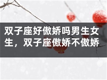 双子座好傲娇吗男生女生，双子座傲娇不傲娇
