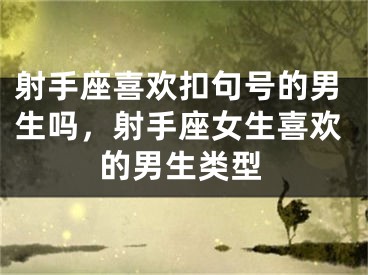 射手座喜欢扣句号的男生吗，射手座女生喜欢的男生类型