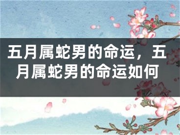 五月属蛇男的命运，五月属蛇男的命运如何