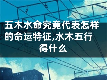 五木水命究竟代表怎样的命运特征,水木五行得什么