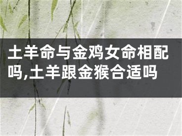 土羊命与金鸡女命相配吗,土羊跟金猴合适吗