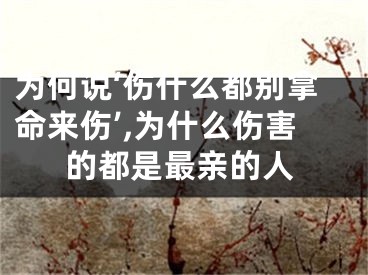 为何说‘伤什么都别拿命来伤’,为什么伤害的都是最亲的人