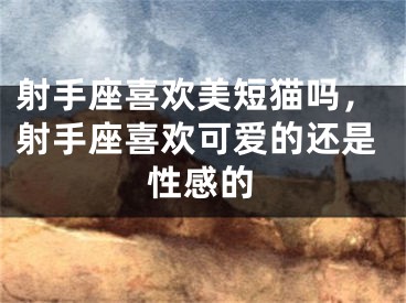 射手座喜欢美短猫吗,射手座喜欢可爱的还是性感的