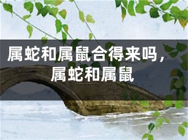 属蛇和属鼠合得来吗，属蛇和属鼠
