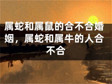 属蛇和属鼠的合不合婚姻，属蛇和属牛的人合不合