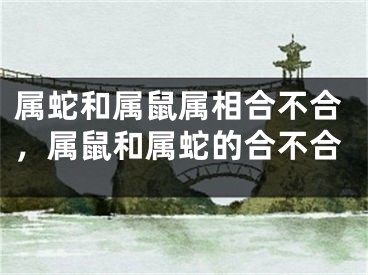 属蛇和属鼠属相合不合，属鼠和属蛇的合不合