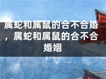 属蛇和属鼠的合不合婚，属蛇和属鼠的合不合婚姻