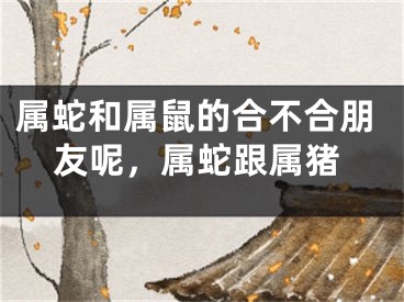 属蛇和属鼠的合不合朋友呢，属蛇跟属猪