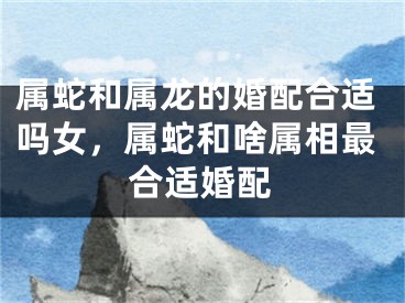 属蛇和属龙的婚配合适吗女，属蛇和啥属相最合适婚配