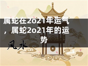 属蛇在2o21年运气，属蛇2o21年的运势