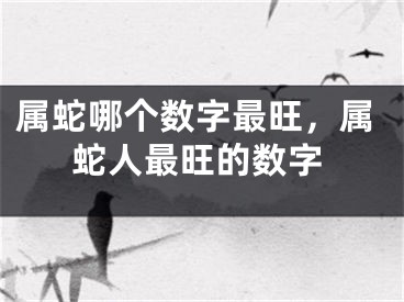 属蛇哪个数字最旺，属蛇人最旺的数字